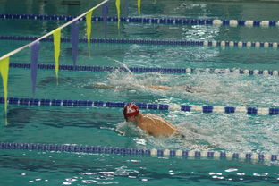 九游下载电脑版官网-全国青少年游泳锦标赛青春风采尽展,全国青少年游泳比赛成绩